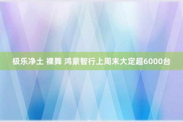 极乐净土 裸舞 鸿蒙智行上周末大定超6000台