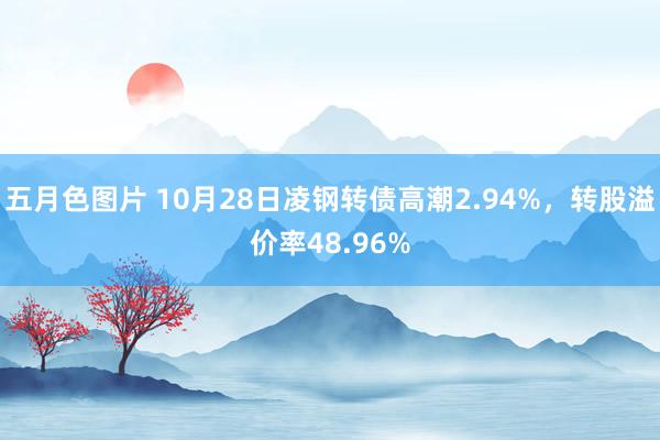 五月色图片 10月28日凌钢转债高潮2.94%，转股溢价率48.96%