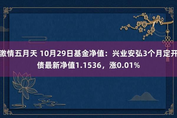 激情五月天 10月29日基金净值：兴业安弘3个月定开债最新净值1.1536，涨0.01%