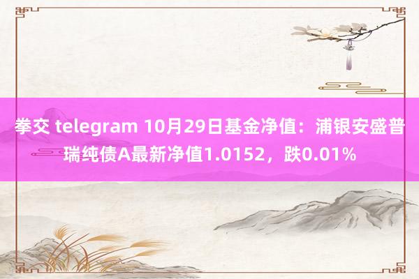 拳交 telegram 10月29日基金净值：浦银安盛普瑞纯债A最新净值1.0152，跌0.01%