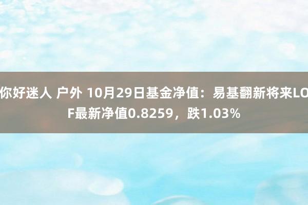 你好迷人 户外 10月29日基金净值：易基翻新将来LOF最新净值0.8259，跌1.03%