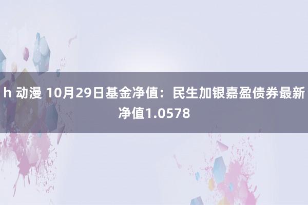 h 动漫 10月29日基金净值：民生加银嘉盈债券最新净值1.0578