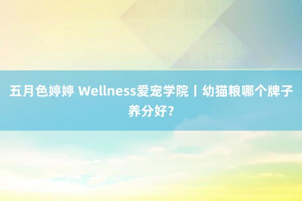 五月色婷婷 Wellness爱宠学院丨幼猫粮哪个牌子养分好？