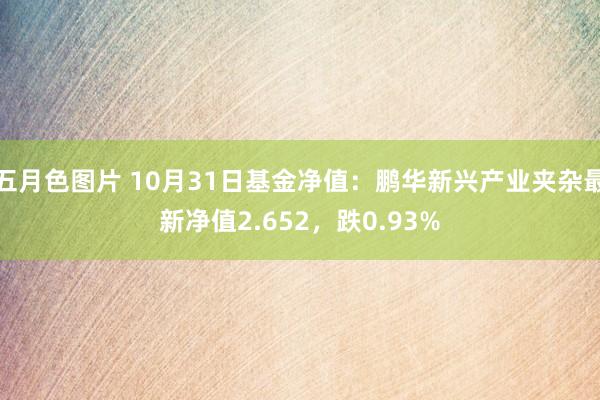 五月色图片 10月31日基金净值：鹏华新兴产业夹杂最新净值2.652，跌0.93%