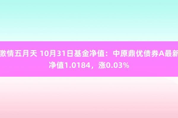 激情五月天 10月31日基金净值：中原鼎优债券A最新净值1.0184，涨0.03%