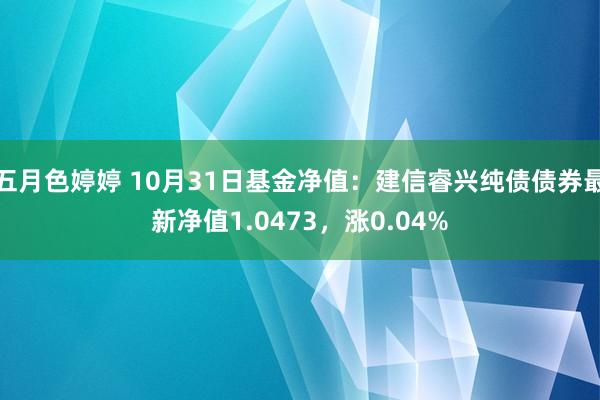 五月色婷婷 10月31日基金净值：建信睿兴纯债债券最新净值1.0473，涨0.04%