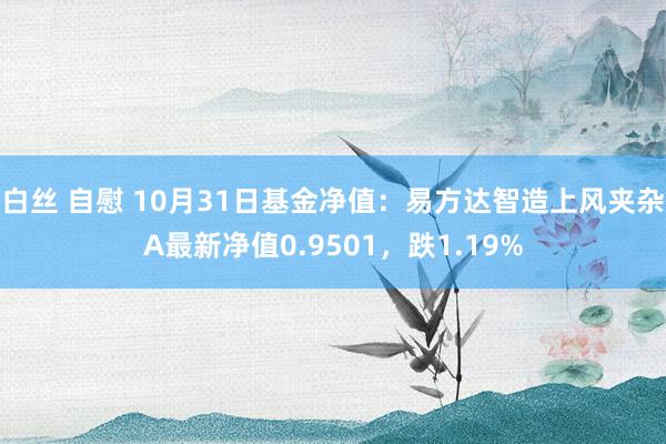 白丝 自慰 10月31日基金净值：易方达智造上风夹杂A最新净值0.9501，跌1.19%