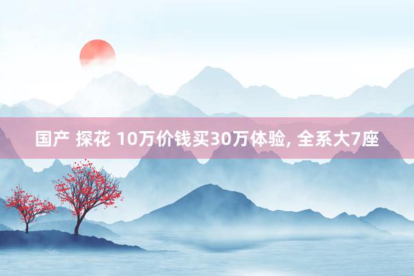 国产 探花 10万价钱买30万体验， 全系大7座