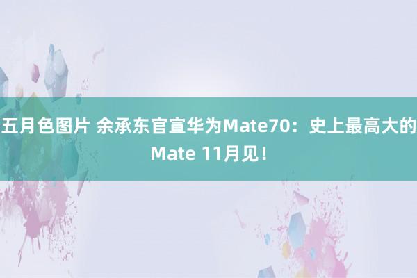 五月色图片 余承东官宣华为Mate70：史上最高大的Mate 11月见！