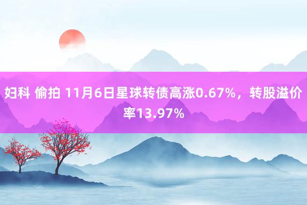 妇科 偷拍 11月6日星球转债高涨0.67%，转股溢价率13.97%