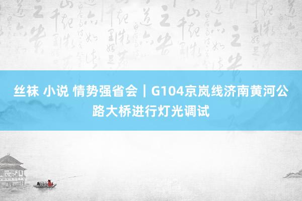 丝袜 小说 情势强省会｜G104京岚线济南黄河公路大桥进行灯光调试