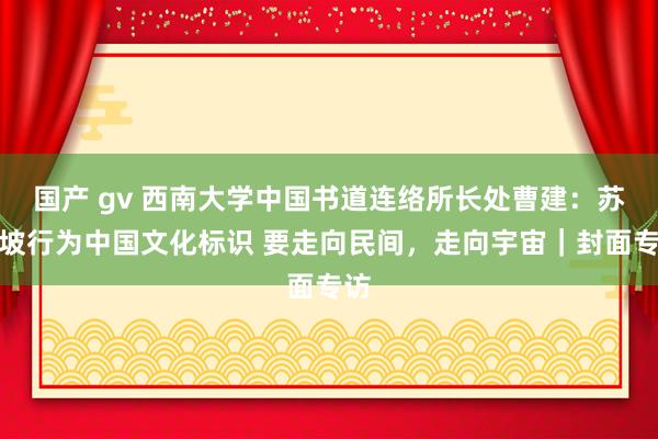 国产 gv 西南大学中国书道连络所长处曹建：苏东坡行为中国文化标识 要走向民间，走向宇宙｜封面专访