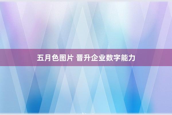 五月色图片 晋升企业数字能力