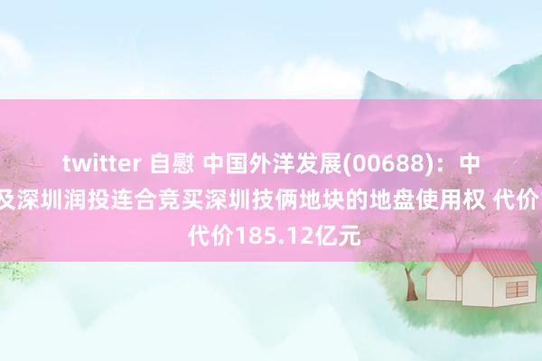 twitter 自慰 中国外洋发展(00688)：中海企业发展及深圳润投连合竞买深圳技俩地块的地盘使用权 代价185.12亿元