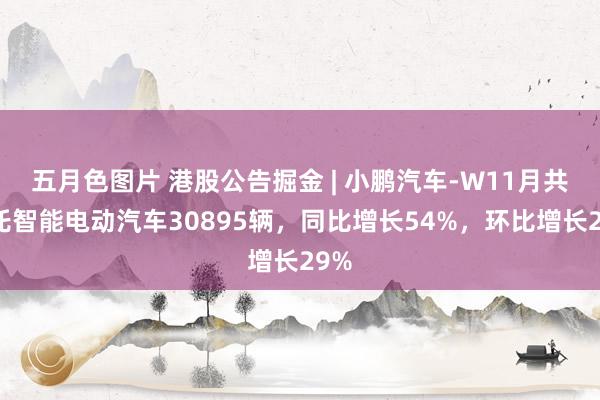 五月色图片 港股公告掘金 | 小鹏汽车-W11月共请托智能电动汽车30895辆，同比增长54%，环比增长29%