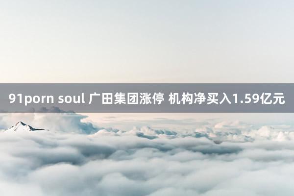 91porn soul 广田集团涨停 机构净买入1.59亿元