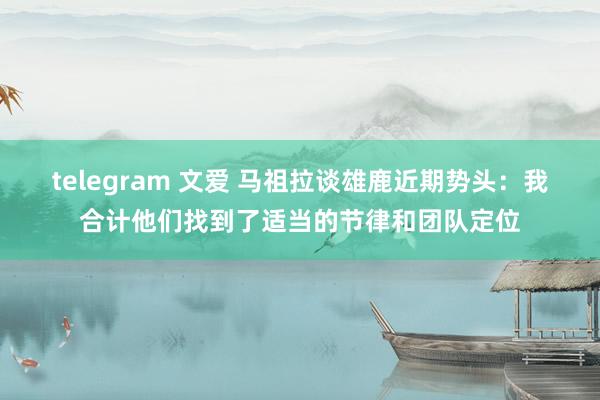 telegram 文爱 马祖拉谈雄鹿近期势头：我合计他们找到了适当的节律和团队定位