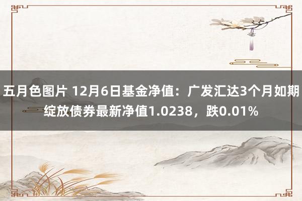 五月色图片 12月6日基金净值：广发汇达3个月如期绽放债券最新净值1.0238，跌0.01%