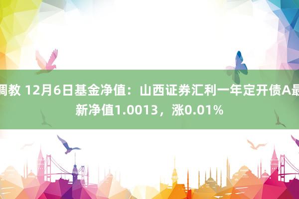 调教 12月6日基金净值：山西证券汇利一年定开债A最新净值1.0013，涨0.01%