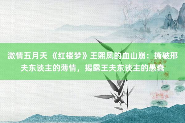 激情五月天 《红楼梦》王熙凤的血山崩：撕破邢夫东谈主的薄情，揭露王夫东谈主的愚蠢