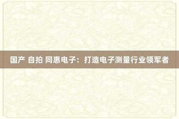 国产 自拍 同惠电子：打造电子测量行业领军者