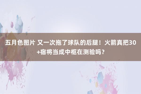 五月色图片 又一次拖了球队的后腿！火箭真把30+宿将当成中枢在测验吗？