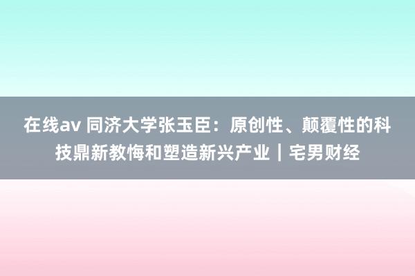 在线av 同济大学张玉臣：原创性、颠覆性的科技鼎新教悔和塑造新兴产业｜宅男财经