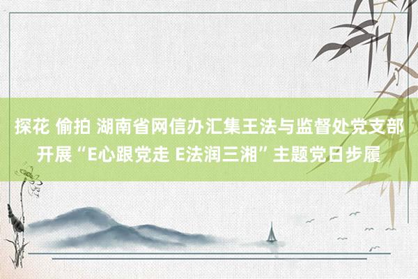 探花 偷拍 湖南省网信办汇集王法与监督处党支部开展“E心跟党走 E法润三湘”主题党日步履