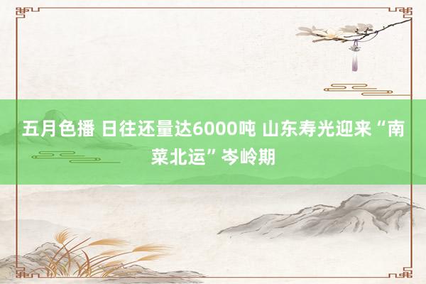 五月色播 日往还量达6000吨 山东寿光迎来“南菜北运”岑岭期