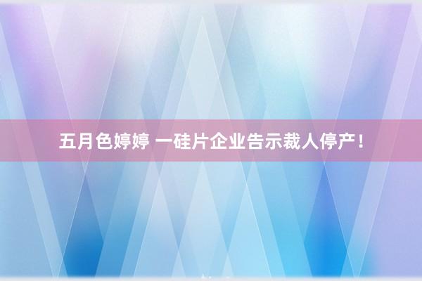 五月色婷婷 一硅片企业告示裁人停产！