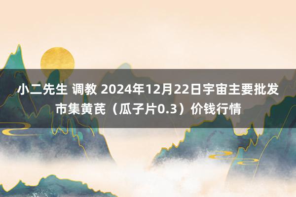 小二先生 调教 2024年12月22日宇宙主要批发市集黄芪（瓜子片0.3）价钱行情