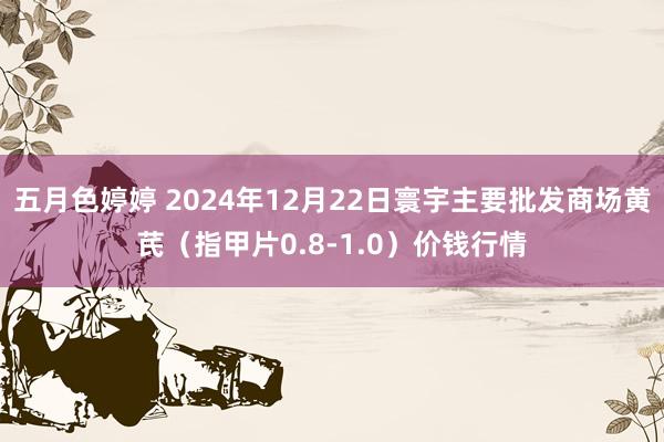 五月色婷婷 2024年12月22日寰宇主要批发商场黄芪（指甲片0.8-1.0）价钱行情