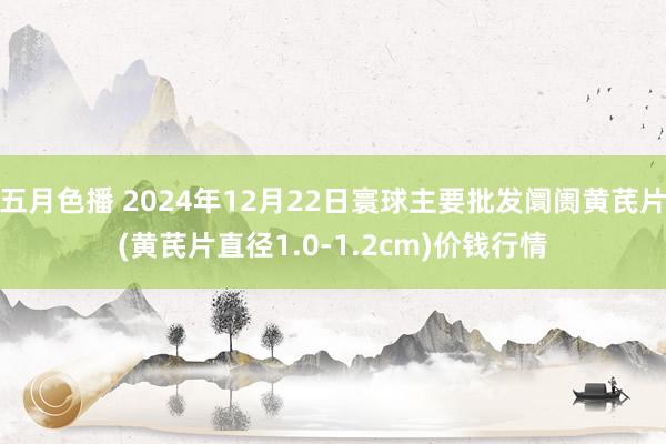 五月色播 2024年12月22日寰球主要批发阛阓黄芪片(黄芪片直径1.0-1.2cm)价钱行情