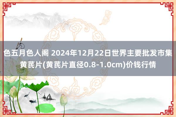 色五月色人阁 2024年12月22日世界主要批发市集黄芪片(黄芪片直径0.8-1.0cm)价钱行情