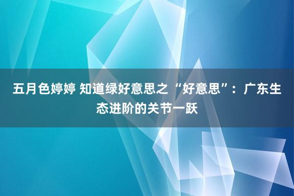 五月色婷婷 知道绿好意思之 “好意思”：广东生态进阶的关节一跃