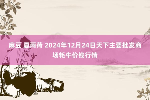 麻豆 夏雨荷 2024年12月24日天下主要批发商场牦牛价钱行情