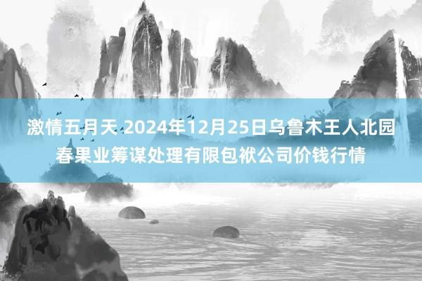 激情五月天 2024年12月25日乌鲁木王人北园春果业筹谋处理有限包袱公司价钱行情