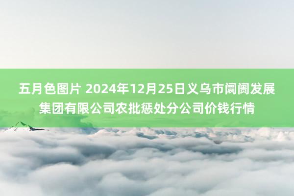 五月色图片 2024年12月25日义乌市阛阓发展集团有限公司农批惩处分公司价钱行情