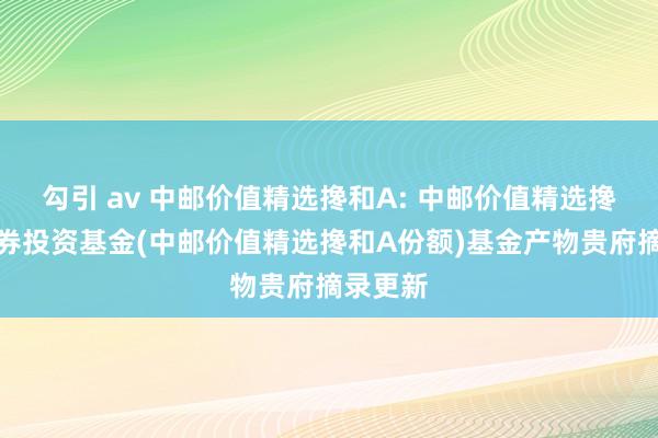 勾引 av 中邮价值精选搀和A: 中邮价值精选搀和型证券投资基金(中邮价值精选搀和A份额)基金产物贵府摘录更新