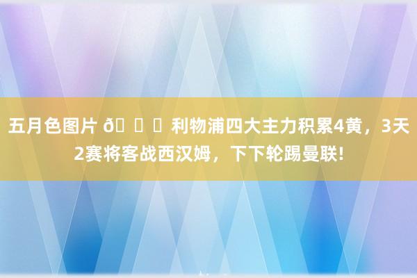 五月色图片 💀利物浦四大主力积累4黄，3天2赛将客战西汉姆，下下轮踢曼联!