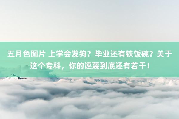 五月色图片 上学会发狗？毕业还有铁饭碗？关于这个专科，你的诬蔑到底还有若干！