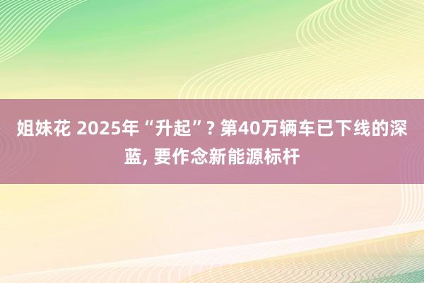 姐妹花 2025年“升起”? 第40万辆车已下线的深蓝， 要作念新能源标杆