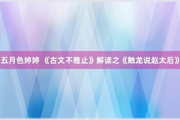 五月色婷婷 《古文不雅止》解读之《触龙说赵太后》