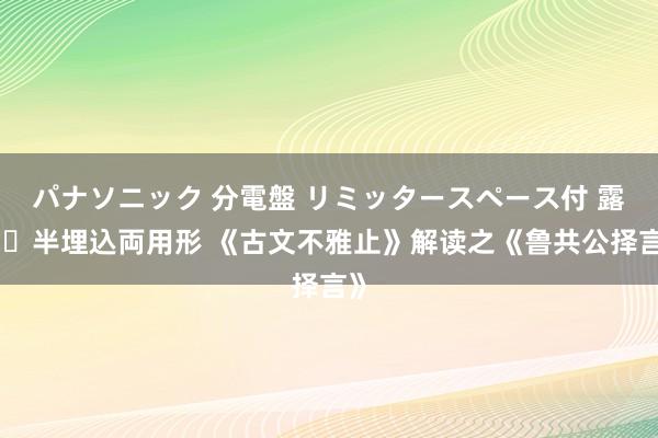 パナソニック 分電盤 リミッタースペース付 露出・半埋込両用形 《古文不雅止》解读之《鲁共公择言》