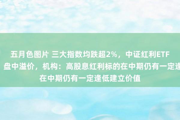 五月色图片 三大指数均跌超2%，中证红利ETF（515080）盘中溢价，机构：高股息红利标的在中期仍有一定逢低建立价值