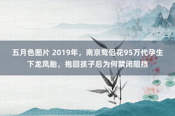 五月色图片 2019年，南京鸳侣花95万代孕生下龙凤胎，抱回孩子后为何禁闭阻挡