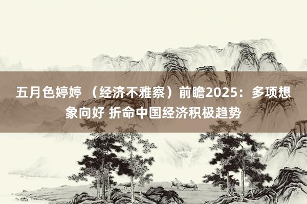 五月色婷婷 （经济不雅察）前瞻2025：多项想象向好 折命中国经济积极趋势