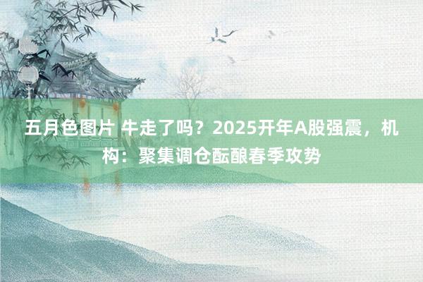 五月色图片 牛走了吗？2025开年A股强震，机构：聚集调仓酝酿春季攻势