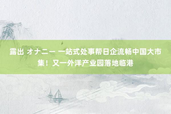 露出 オナニー 一站式处事帮日企流畅中国大市集！又一外洋产业园落地临港