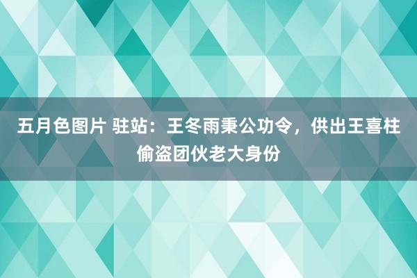 五月色图片 驻站：王冬雨秉公功令，供出王喜柱偷盗团伙老大身份